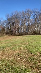 748K views · 10K reactions | Beagle hunting rabbit #beagle #doglovers #doghunting #berburu #porbiindonesia #irfannfaturohman #seggagAdventure | Irfan Faturohman | Facebook