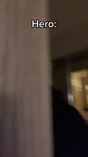 HE SAID THE THING PHILIP ALMOST SAID THE THING | hero and villain danny phantom