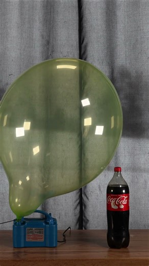 Overinflated Kalisan 18" green balloon blow to pop B2P BTP