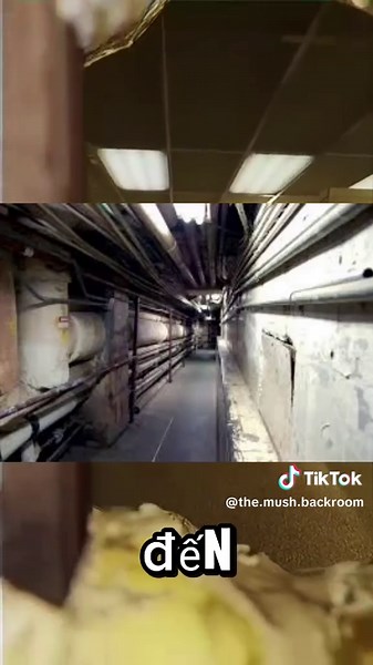 Speed Run Backroom#liminalspace #backrooms #dreamcore