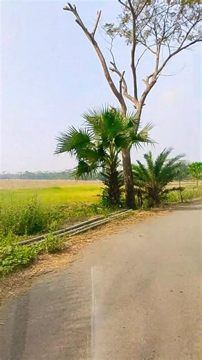 Tumi Aashe Paashe (Original Motion Picture Soundtrack)