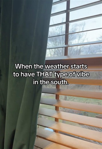 Time to grab the most valuable, irreplaceable books and go (73° in the upland south during winter is absurd btw.) #manga #booktok #weather #anime #library