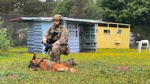 Peyo, a Belgian Malinois, is the first dog in the French armed forces to be trained in drone guidance. Assigned to Air Parachute Commando No. 20, Peyo can independently "follow the drone using his ears and eyes", says Chief Sergeant Dorian, and reach a designated area without his handler, where he can search for explosives and weapons, or even intercept a suspect. | AFP News Agency
