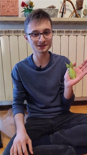 Allevare INSETTI a casa: un hobby particolare! - W&A Gardens #shorts