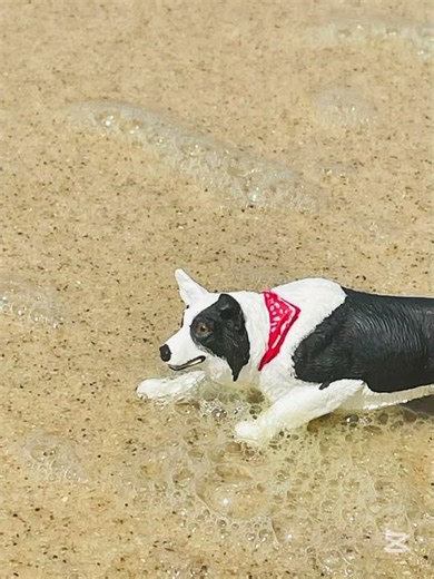 Photoshoot #7 #schleich #photography