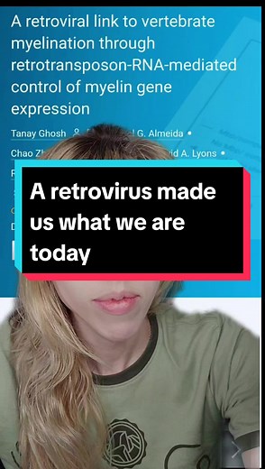 The Impact of Retroviruses on Human Evolution