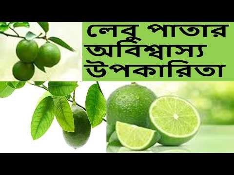 লেবু পাতার পুষ্টিগুণ, লেবু পাতার অবিশ্বাস্য উপকারিতা, Health Benefits of Lemon Leaves, eHealth BD