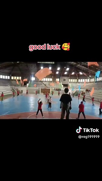 Exploring Dance Flags in Color Guard Performances