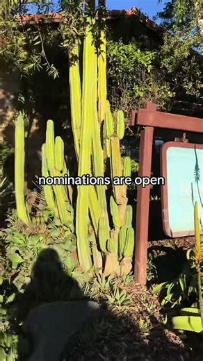 San Diego Magazine’s “Best of San Diego” nominations are open, and we’ve got a suggestion for you: Christina Principe for “Best Athlete.” Christina is a resident of Noah Homes, a multi-medaled Special Olympics athlete who will be competing in the 2026 Special Olympics USA Games this summer. Visit bio.site/noah_homes to submit her name today! #specialolympics #disabilitytiktok #sandiego #athletesoftiktok #athlete