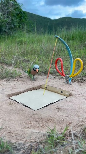 Birds trap catching parrot #amazing #birds #trap