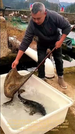 Mastering the Dip Net: How to Land Fish Like a Pro