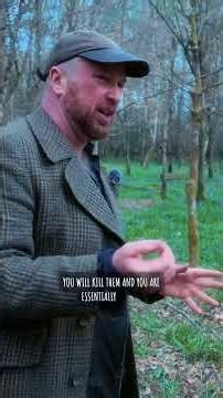 Common Bluebell #woodlands #bluebells #walks #naturalbeauty #naturelovers #wild #plants #faeries