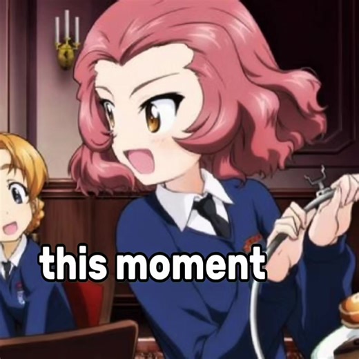 Blurry Anime Meme Fun with Girls und Panzer