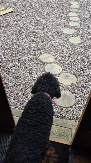 Stuart Boyland (@the_stumble_inn)’s videos with original sound - Stuart Boyland