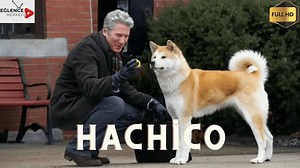 Подборки видео для вас — поиск Яндекса по видео