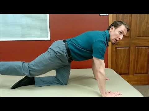 Modified Bird-Dog - Low Intensity Back Strengthening Exercise