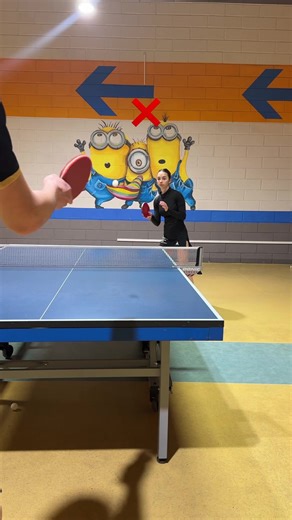 Table Tennis: Tips and Tricks for Beginners