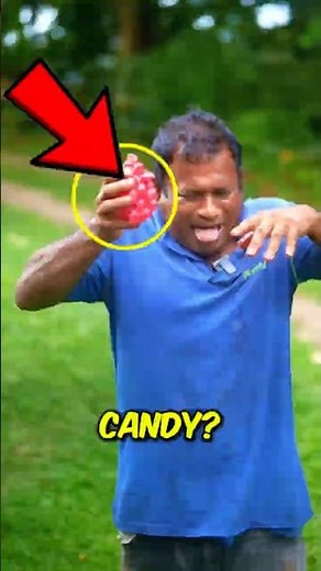 3 Poisonous Berries Hiding In Your Backyard That Look Exactly Like Candy
