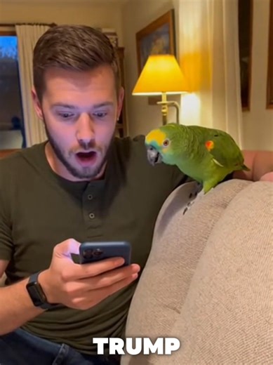 Parrot Funny Jokes That Will Make You Laugh 😂🤣