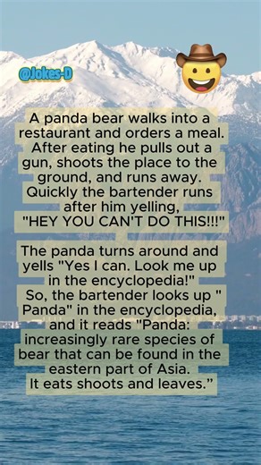 Beware of the Panda! #jokes #humor