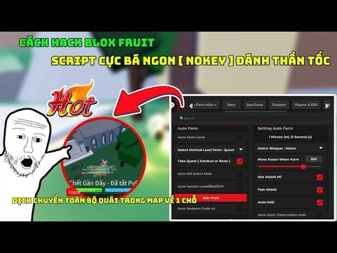 Cách hack blox fruit script hiru hub đang free cực ngon nhanh tay sử dụng [ không phải vượt link]