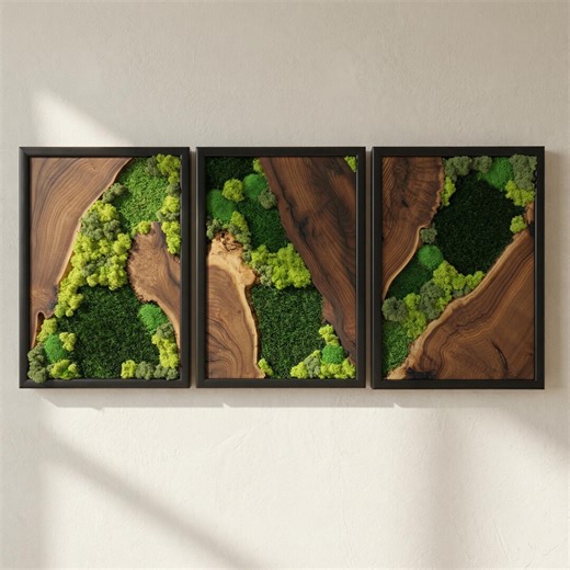 Handmade Moss Wall Art With Natural Wood, Modern Botanical Wall Decor, Preserved Moss Art, Nature Inspired Home Decor - Etsy