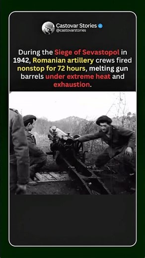Romanian Artillery Fired Nonstop for 72 Hours (Sevastopol 1942) #shorts