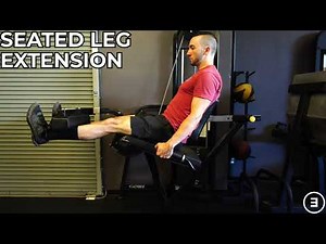 Seated Leg Extension