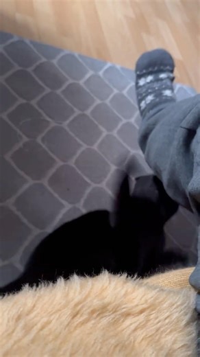 Void cat acting el weirdo again