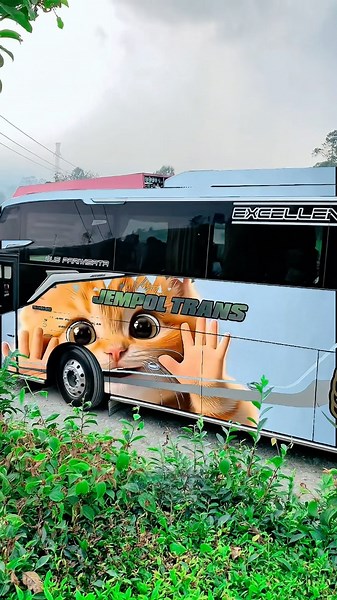 Part 6 || Peek-a-Boo Transparent Bus Mode #shorts