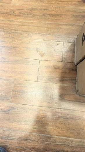 Russian 🇷🇺 | Cartoon Fun