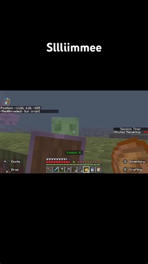 There’s a Sllliiiimmeeeeee! #minecraft #moddedminecraft #disaster