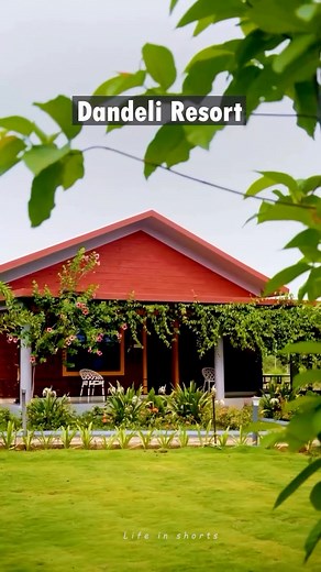 1.1M views · 14K reactions | Day 94 Dandeli Resort  . . . . Contact ☎️ 6366684434 . . . . . #kannada #karnataka #minivlog #karnatakatourism #food #jamkhandi #mudhol #village #villagelife #farmhouse #googleadsense #reels #trending #minivlog # blog #kadapati #kadapatti #jatre #festivel #kannada #minivlog #dasara #mysore #karnataka #dandeli #forest #calling #naturephotography #games #resort | Padma N | Facebook