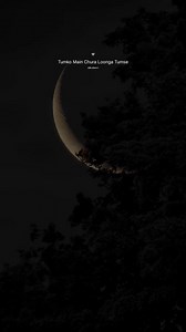 10K reactions · 2.6K shares | Day (97/100) old songs ❣️奈 . . ....