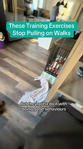 35K views · 264 reactions | These Exercises Stop Pulling On Walks #dogtraining #dogtips #puppytrainingtips #dogadvice #dogwalk #marylanddogtrainer | Best Buddy Dog Trainer, LLC | Facebook