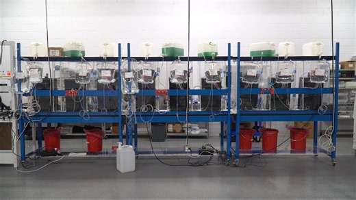 Firefighters screen for cancer with blood draw; new technology makes early detection easy