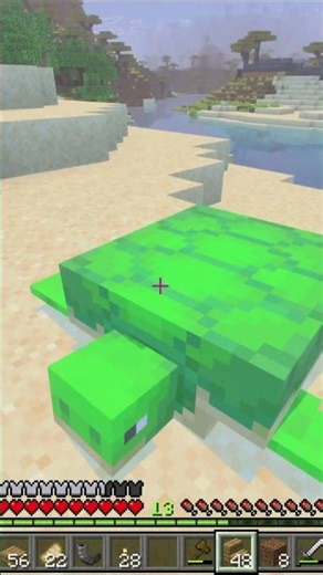 MINECRAFT CUTE TURTLES 🐢 #minecraft #minecraftshorts #minecraftmemes