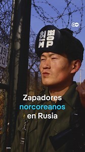 841K views · 28K reactions | Rusia dice que los zapadores norcoreanos...
