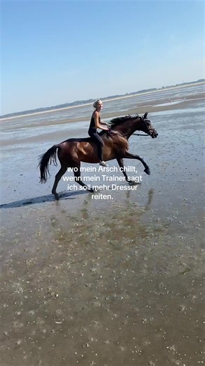 markiert euren Gelände Buddy 🫶🏼 @Toni Ellinger #fy #ausreiten #reitenammeer #springreiten #pferdemädchen