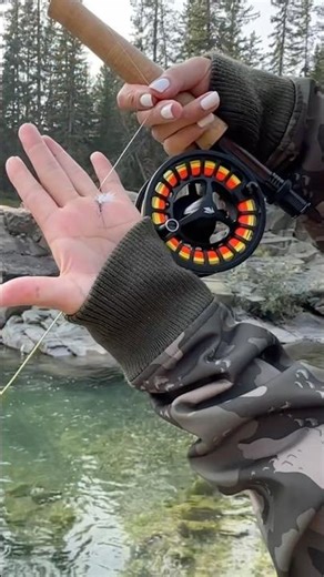 Must-Have Fly for Trout Fishing in Alberta!