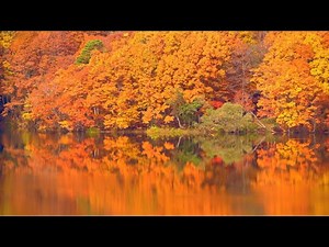 Solfeggio frequency 528Hz [Healing BGM / Work BGM] Frequency to maximise brain power｜