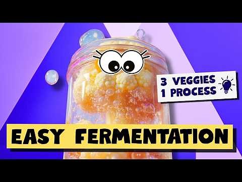 Start Fermentation: 3 EASY Vegetables That Never Fail (Foolproof & Crunchy)
