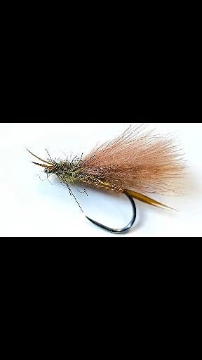 12K views · 66 reactions | CDC Stonefly - Dry Fly. Full video https://youtu.be/irAtbF9jXNQ?si=ZnJBBWD-YicA59SJ Kindale Fly Fishing #flytying #flyfishing #fliesforsale #stonefly #dryfly #shotaflies #Bestfly #flytyingtutorial #flytyingcommunity #flyfishingnation #flytyingjunkie #flyfishingcommunity #flyfishingaddict #flyfishingjunkie #FlyFishingLife #howtotie #flytyingtutorial | Shota Jokhadze | Facebook