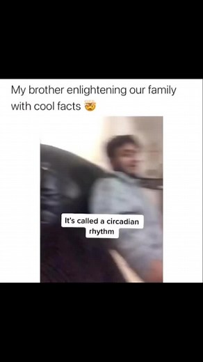 Understanding Circadian Rhythms: The Key to Better Sleep