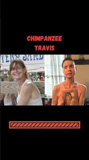 The chimpanzee travis tape.Do not keep him inside. #horror #analoghorror #analog #mystery