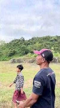 an eagle eating its meat on its head #explore #eagle #wildlife #hunting