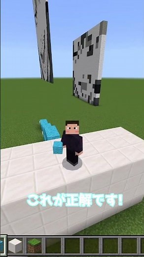 【マイクラ】正しいブロックの置き方(?)はこれです!