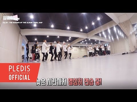 [SEVENTEEN] GOING SEVENTEEN 2017 EP.25