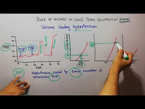 CVS physiology 143.Volume loading hypertension,Effect of excess accumulation of extracellular fluid