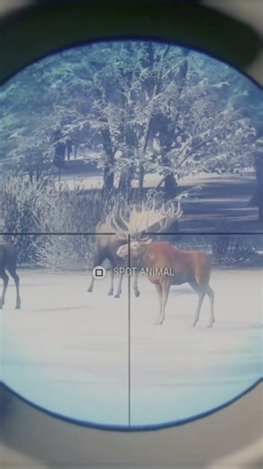 COTW-Muzzleloader vs. Great One Moose #cotw #hcotw #cotwclips #cotwgameplay #greatone #callofthewild